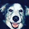 gwennie2005